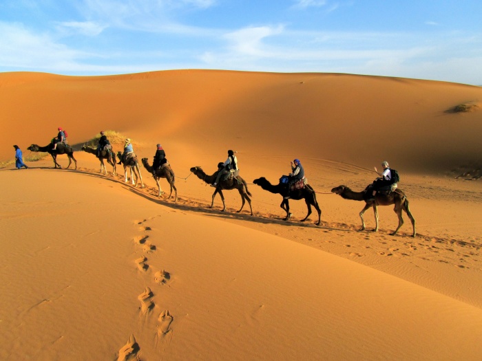 Экскурсионный отдых в Тунисе: Сиди-Бу-Саид, Тозер, Кайруан