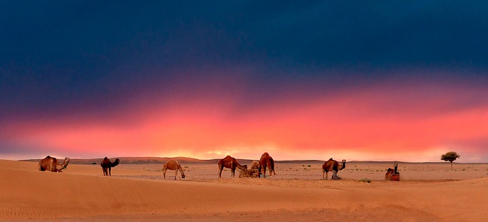 Удивительный Марокко: утро на пляже и ночь в пустыне 